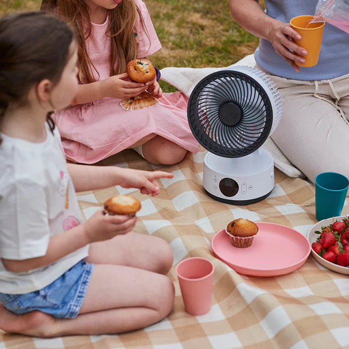 MeacoFan Sefte® 6 Inch Portable Battery Air Circulator - SEFTE6DS