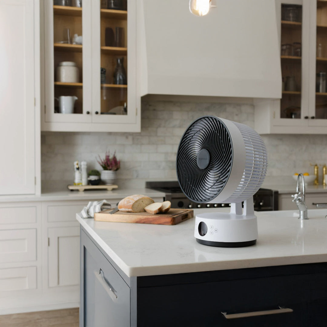 MeacoFan Sefte 10" Desktop Air Circulator White - SEFTE10DS